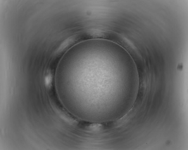 X0000092050124200709191128