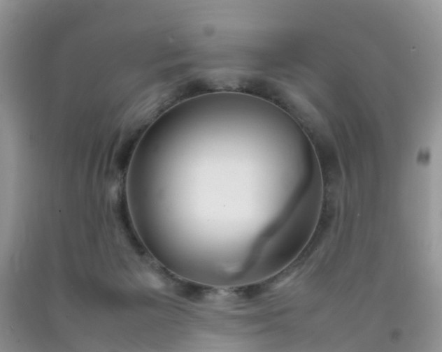 X0000092050125200709191128