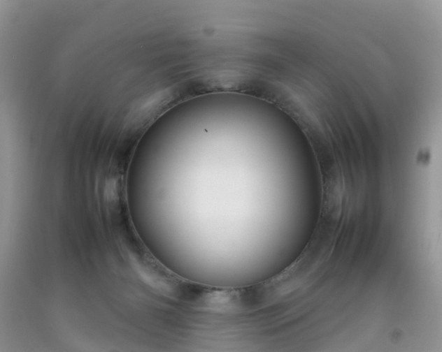 X0000092050126200709191128