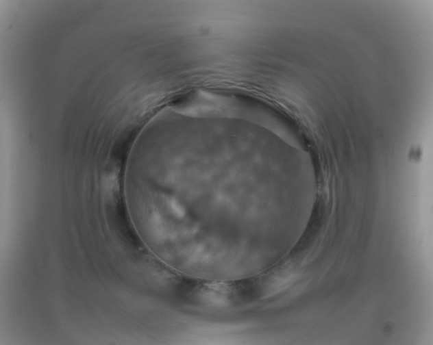 X0000092050127200709191128