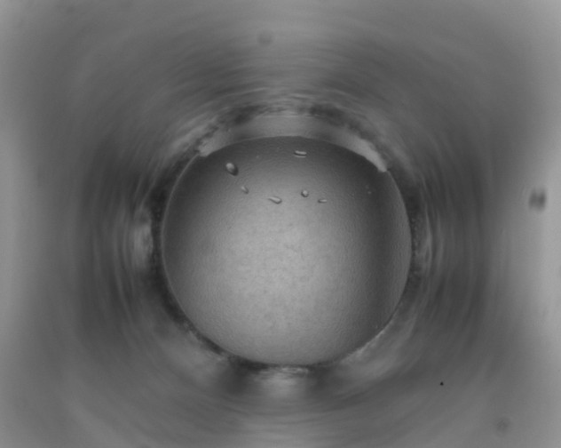 X0000092050128200709191128