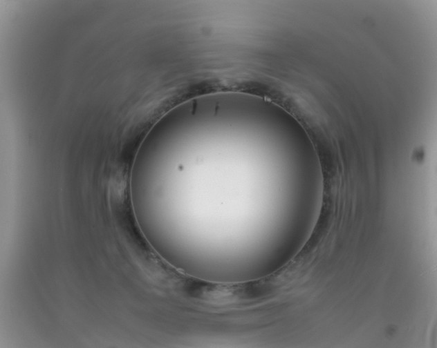 X0000092050129200709191128