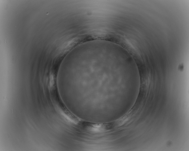 X0000092050130200709191128