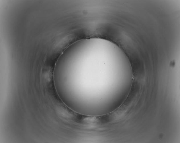 X0000092050133200709191128