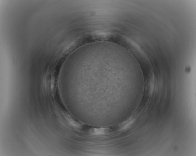 X0000092050134200709191128