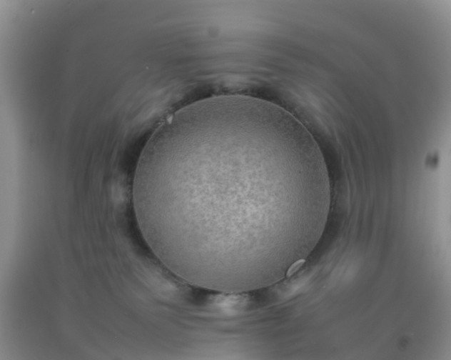 X0000092050135200709191128