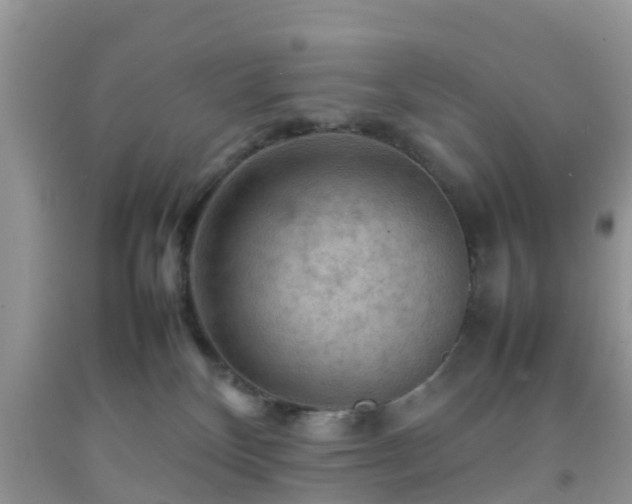 X0000092050136200709191128