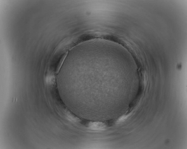 X0000092050137200709191128