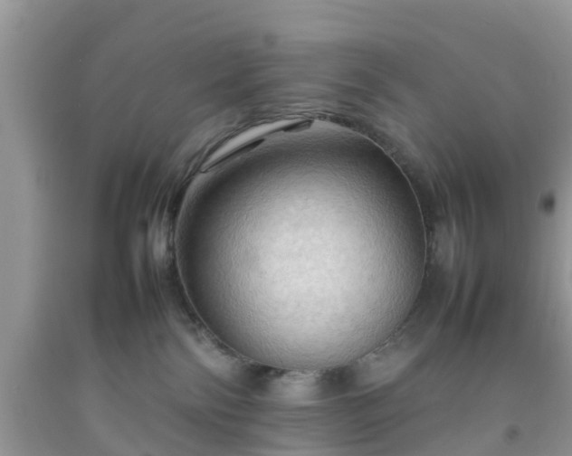 X0000092050138200709191128