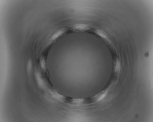 X0000092050143200709191128