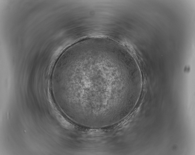 X0000092050145200709191127