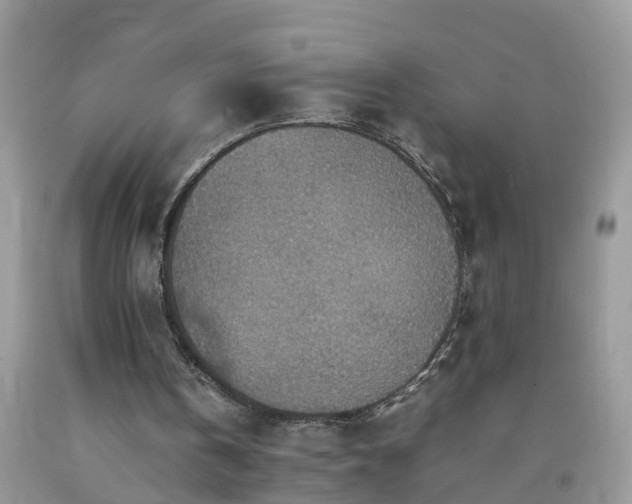 X0000092050146200709191127