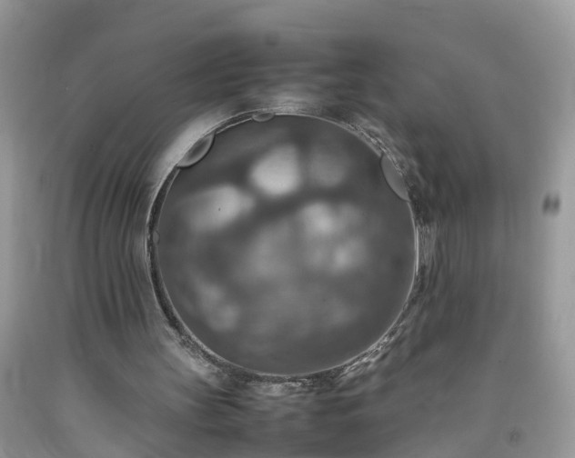 X0000092050147200709191127