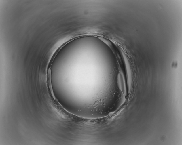 X0000092050148200709191127