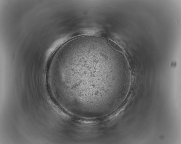 X0000092050149200709191128