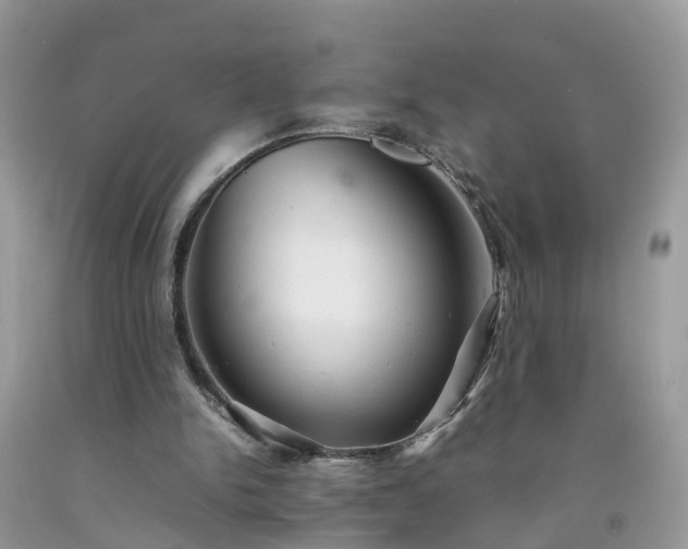 X0000092050150200709191128