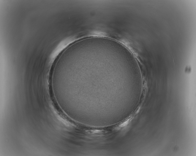 X0000092050151200709191128