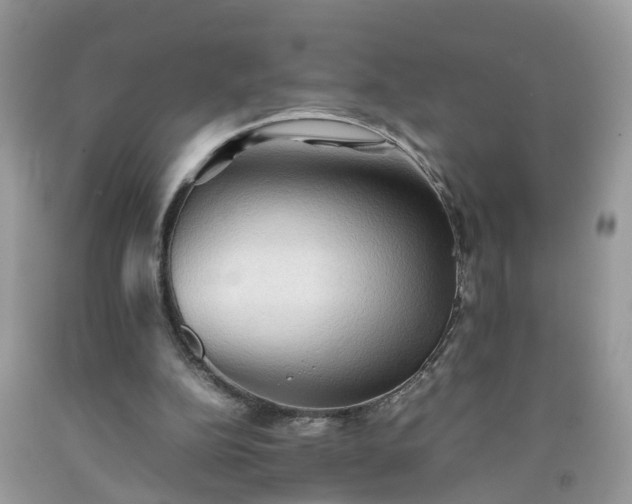 X0000092050152200709191128