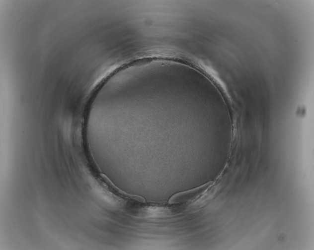 X0000092050154200709191128