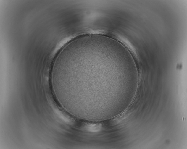 X0000092050155200709191128