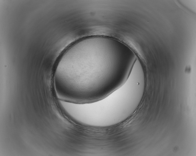 X0000092050156200709191128