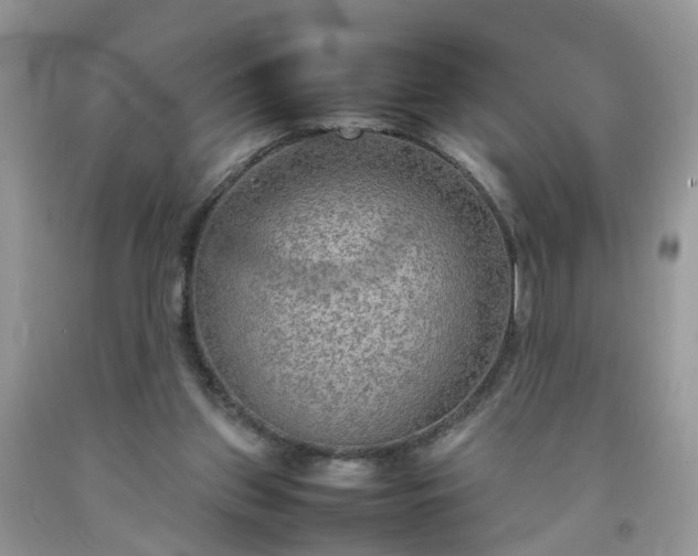 X0000092050157200709191128