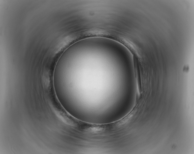 X0000092050158200709191128