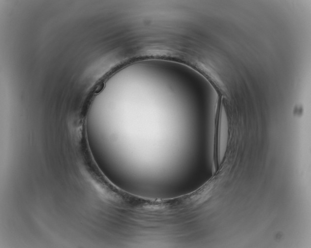 X0000092050160200709191128