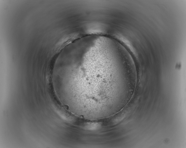 X0000092050161200709191128