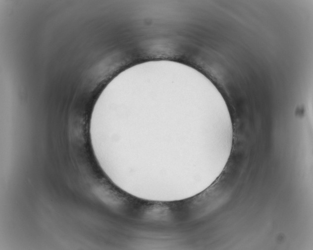 X0000092050162200709191128