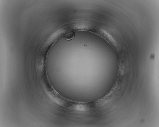 X0000092050163200709191128