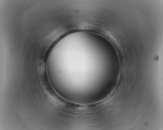 X0000092050164200709191128