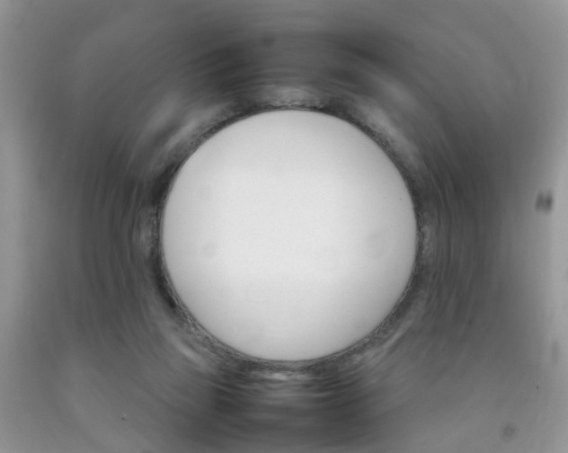 X0000092050165200709191128