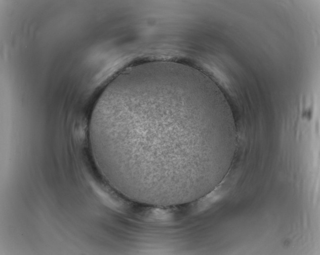 X0000092050166200709191128