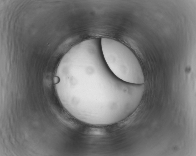 X0000092050167200709191128