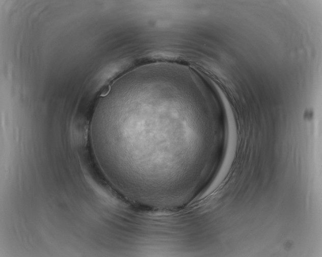 X0000092050168200709191128