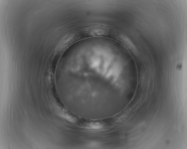 X0000092050169200709191128