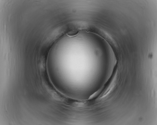 X0000092050170200709191128