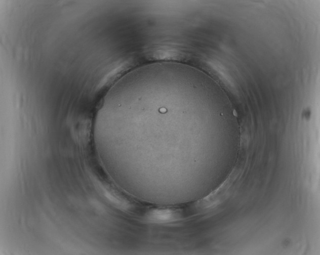 X0000092050171200709191128