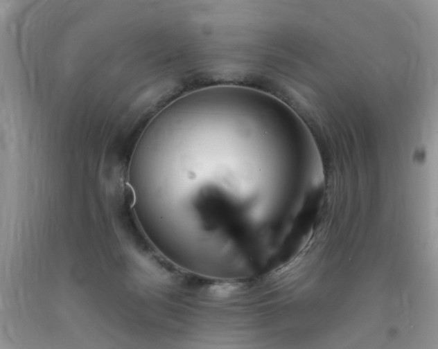 X0000092050172200709191128