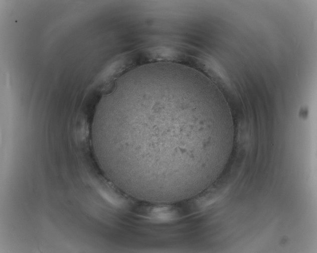 X0000092050173200709191128