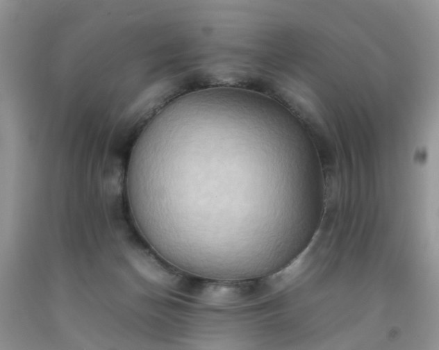 X0000092050174200709191128