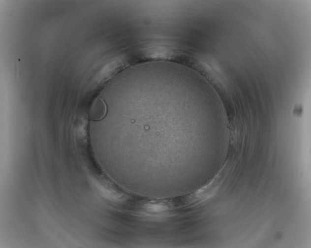 X0000092050175200709191128