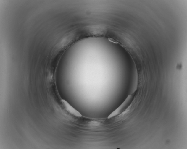 X0000092050176200709191128