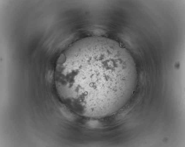 X0000092050177200709191128