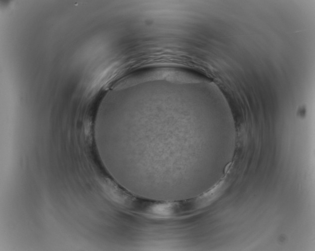 X0000092050178200709191128