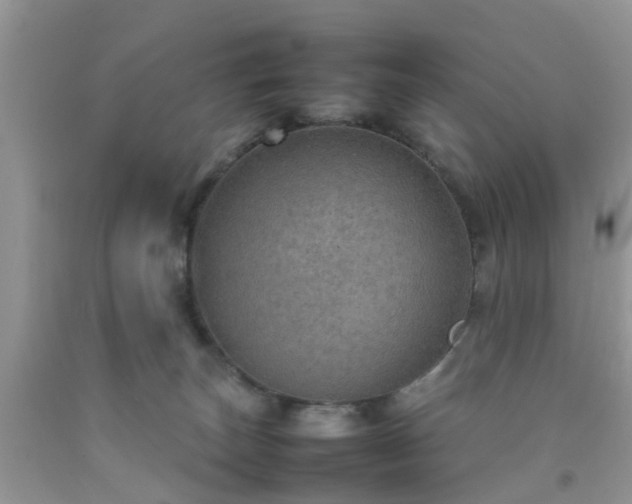 X0000092050179200709191128