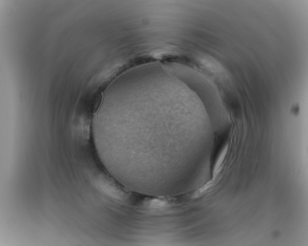 X0000092050180200709191128