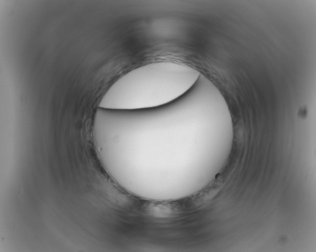 X0000092050181200709191128