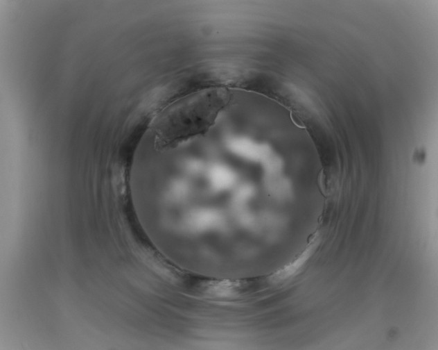 X0000092050182200709191128